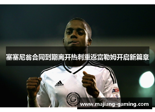 塞塞尼翁合同到期离开热刺重返富勒姆开启新篇章
